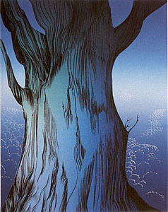 Eucalyptus by Eyvind Earle