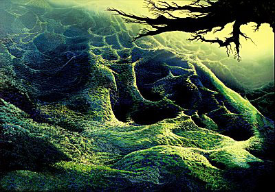 My Soul by Eyvind Earle