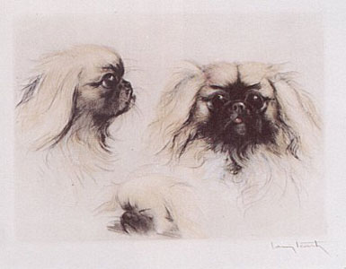 Pekingese by Louis Icart