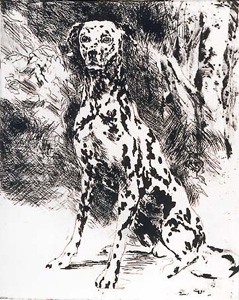 Eaux Fortes Suite (Black & White Dalmation) by LeRoy Neiman