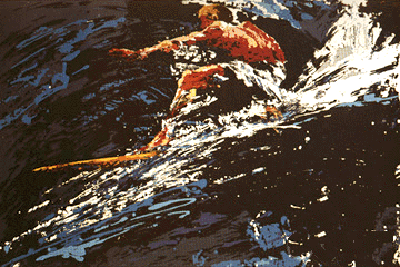 Surfer by LeRoy Neiman