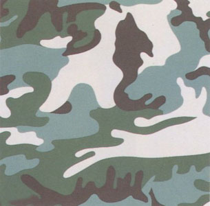 Camouflage Portfolio (406) by Andy Warhol