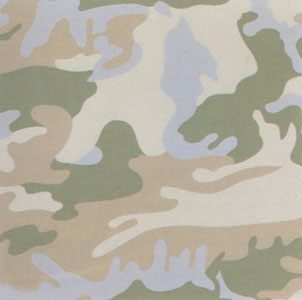 Camouflage Portfolio (407) by Andy Warhol