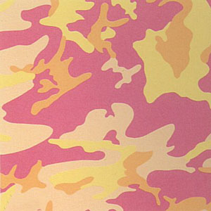 Camouflage Portfolio (409) by Andy Warhol