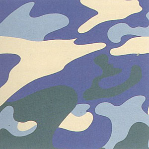 Camouflage, FS #411 by Andy Warhol