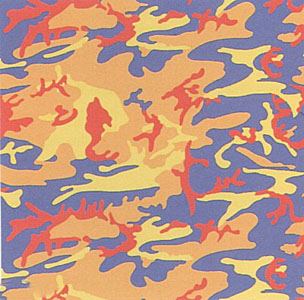 Camouflage, FS #412 by Andy Warhol