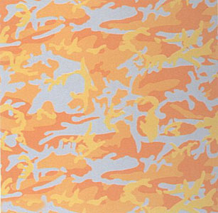 Camouflage, FS #413 by Andy Warhol