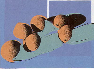 Space Fruit: Still-Lifes (FS 198-203) by Andy Warhol