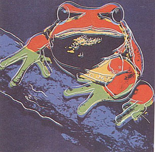 Pine Barrens Tree Frog (FS 294) by Andy Warhol