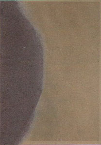 Shadows II (FS 211) by Andy Warhol