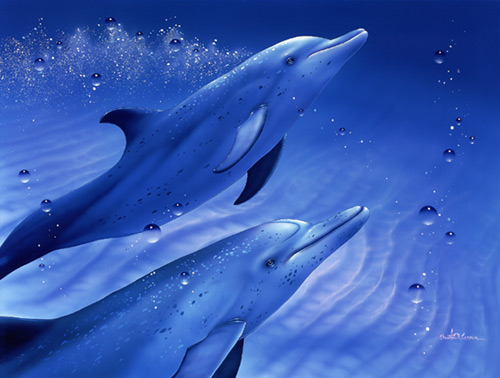 Dolphin Pair by Christian Lassen