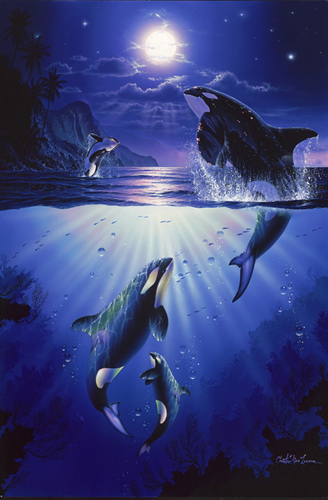 Mystic Orcas by Christian Lassen