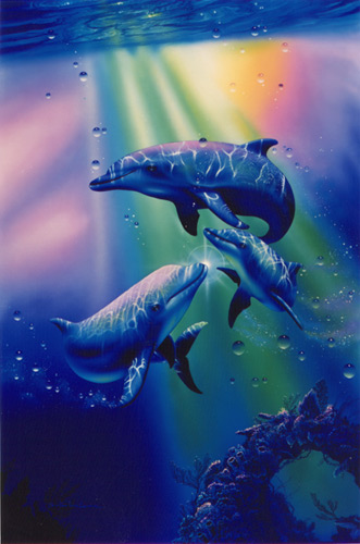 Rainbow Dolphins by Christian Lassen